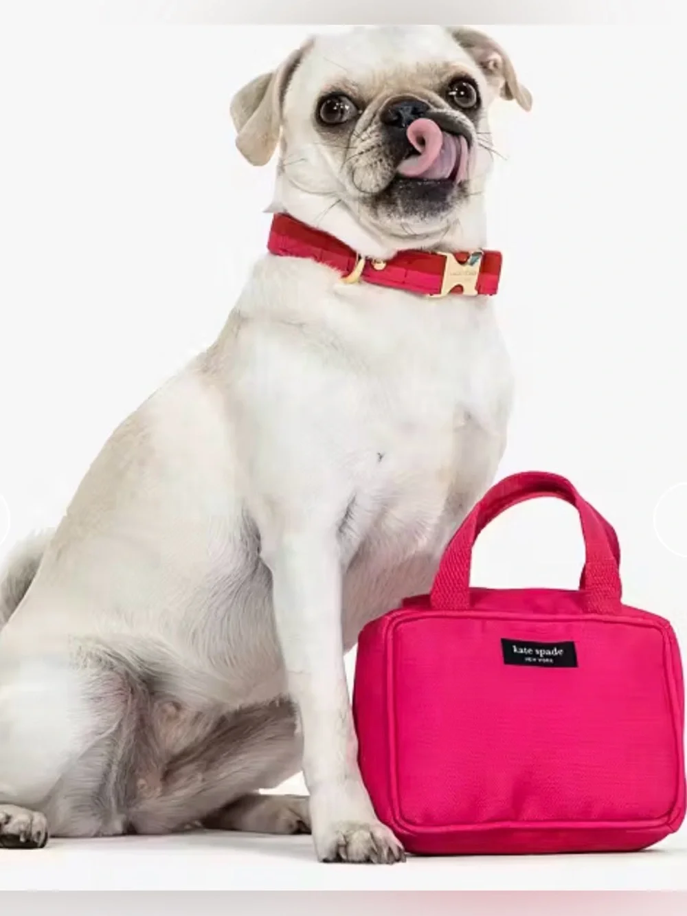 KATE SPADE ♠️  HANDBAG PET TOY PINK  NEW